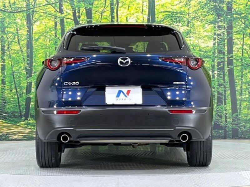 CX-30