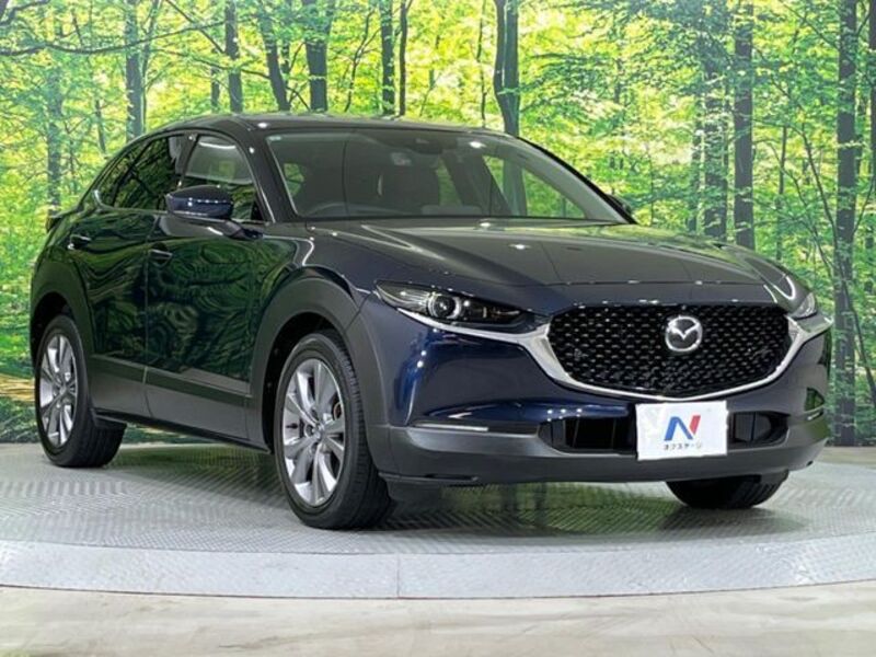 CX-30