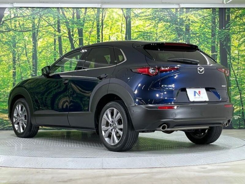 CX-30