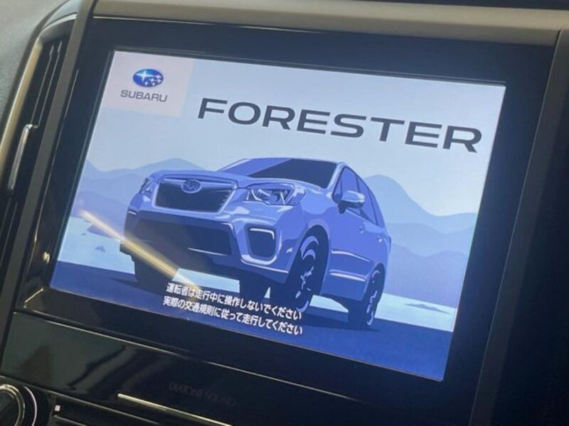 FORESTER