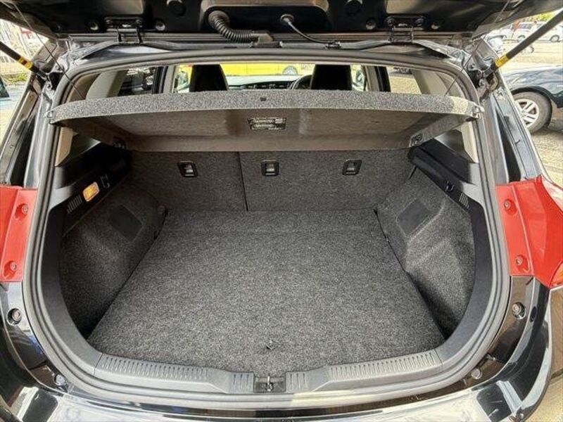 AURIS