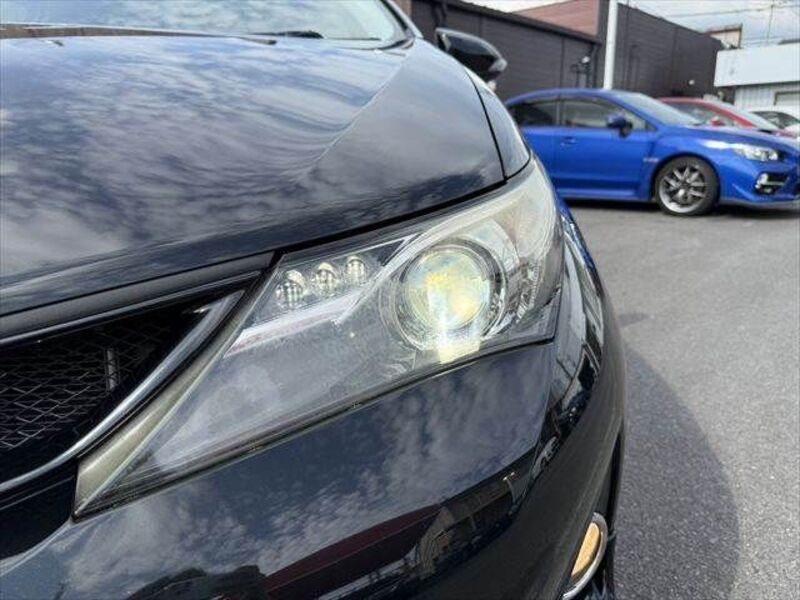 AURIS