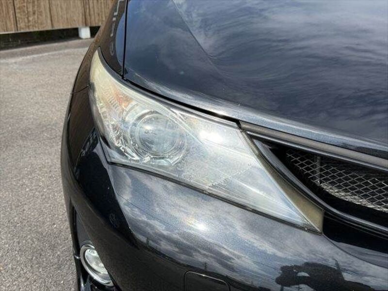AURIS