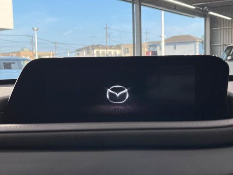 CX-30