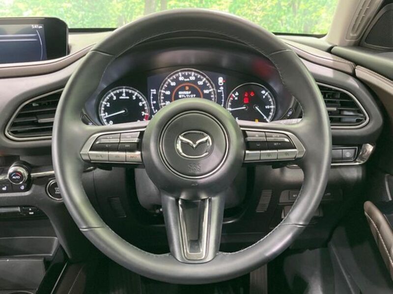 CX-30