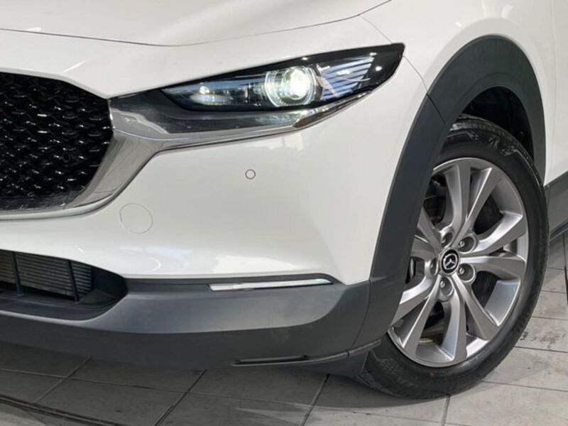CX-30
