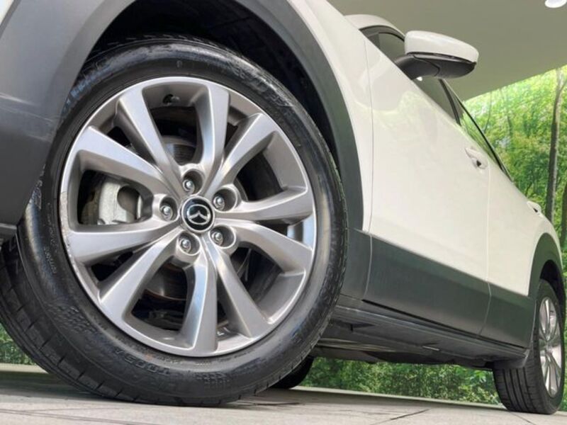 CX-30