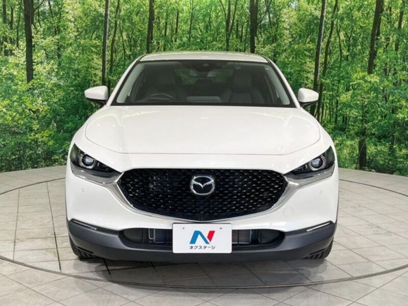 CX-30