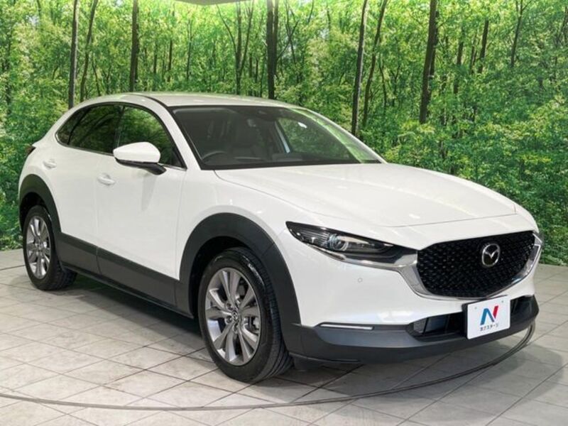 CX-30