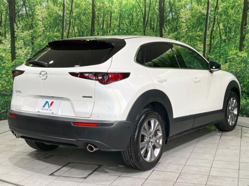 CX-30