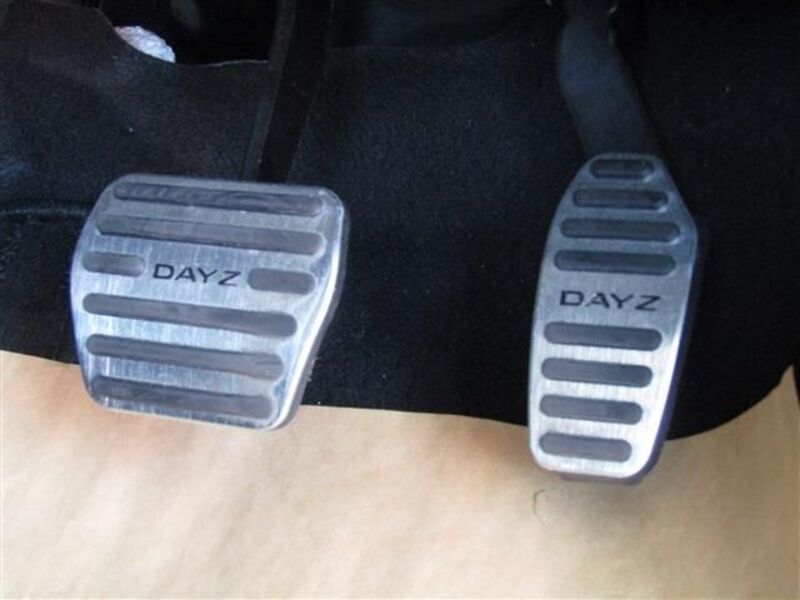 DAYZ