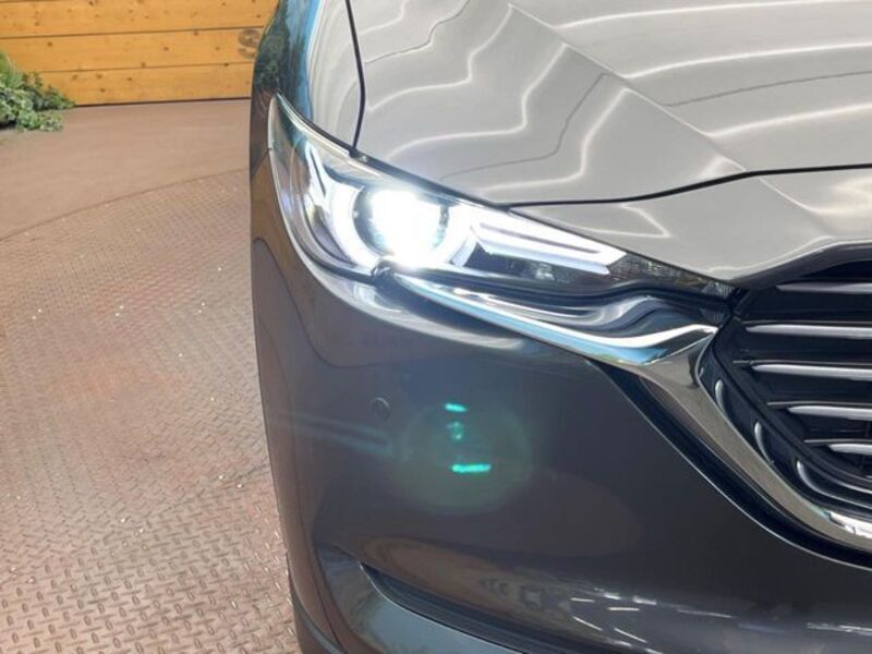 CX-8