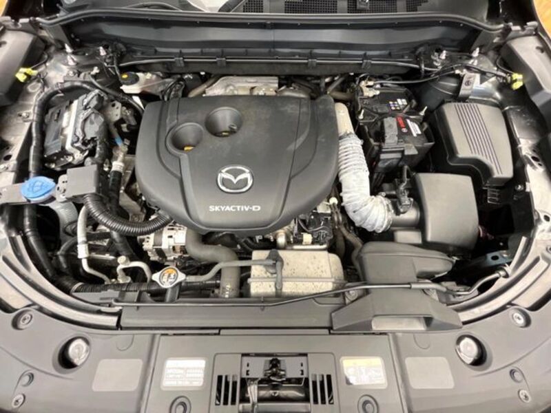 CX-8