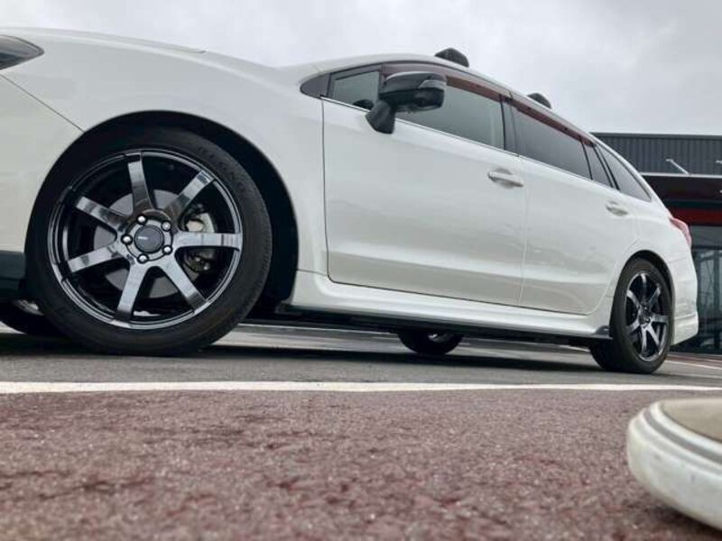 LEVORG
