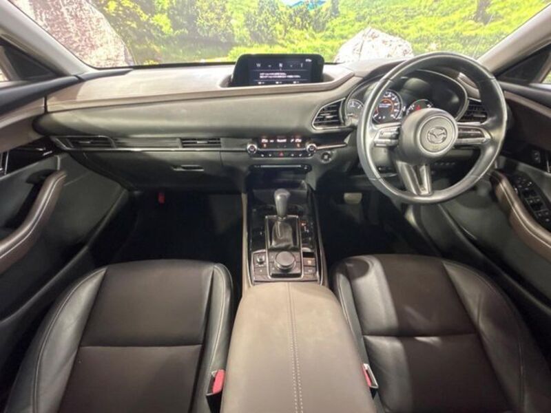 CX-30