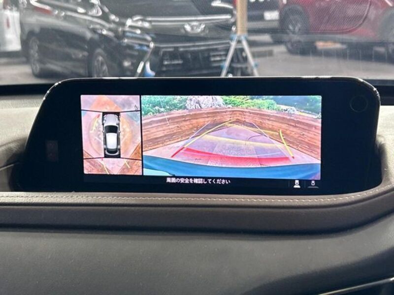 CX-30