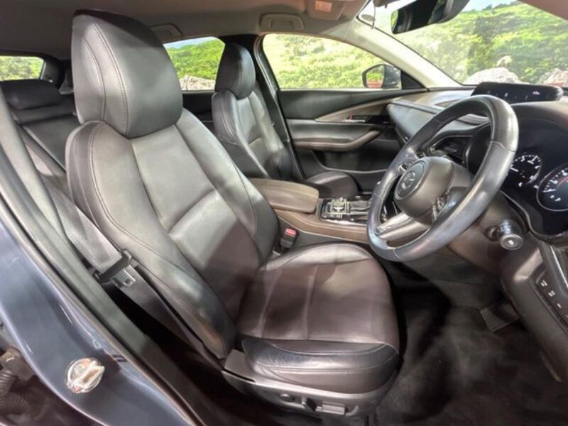 CX-30