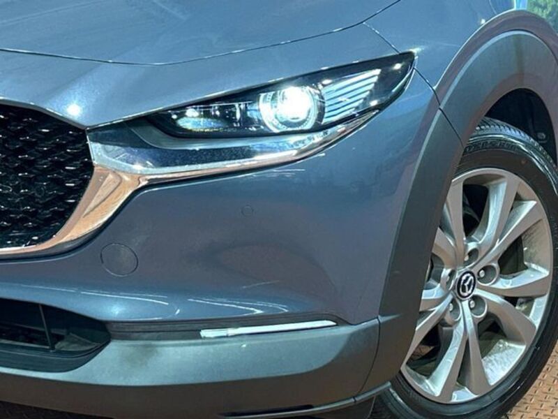 CX-30