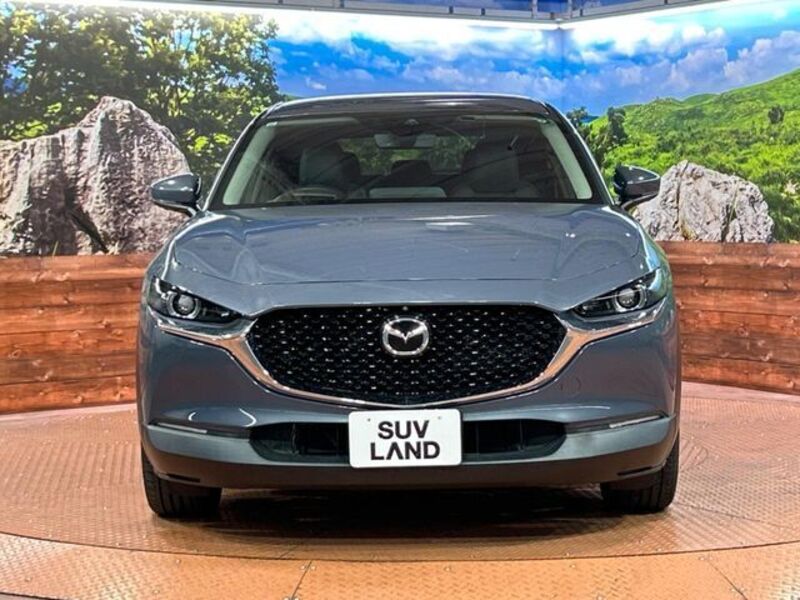 CX-30