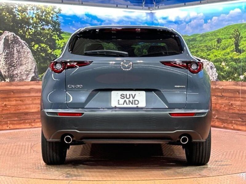 CX-30