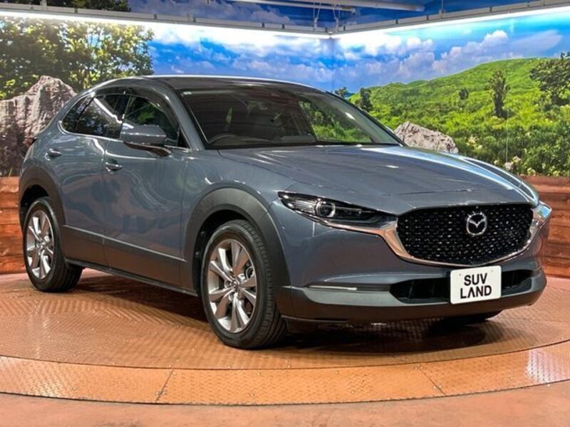 CX-30