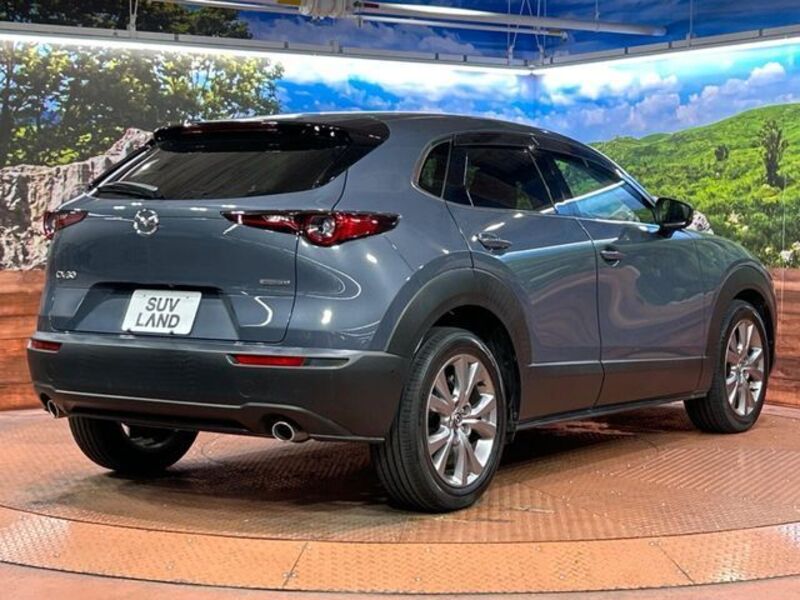 CX-30