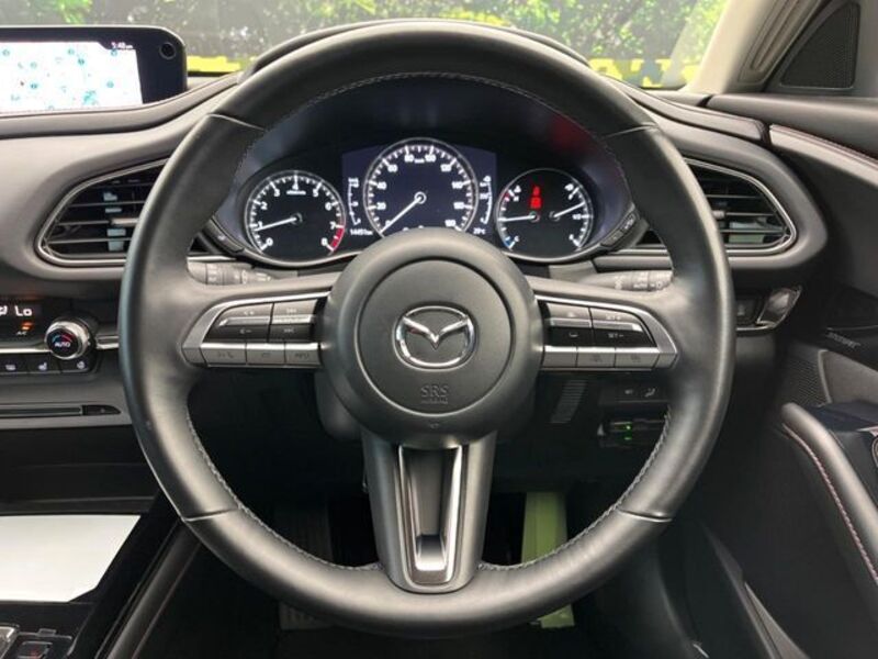 CX-30
