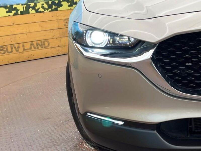 CX-30