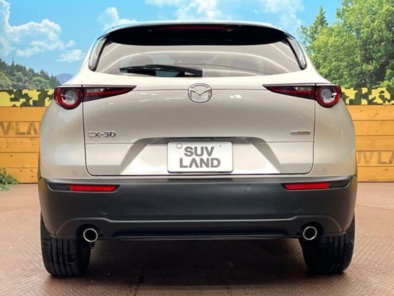 CX-30