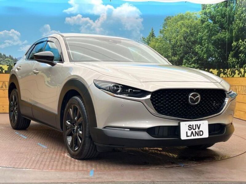 CX-30
