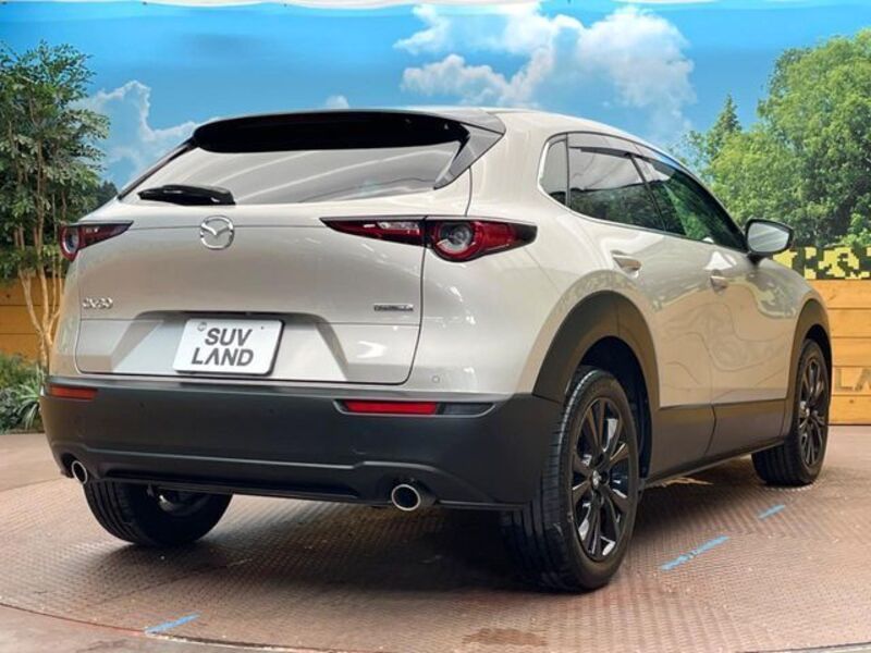 CX-30