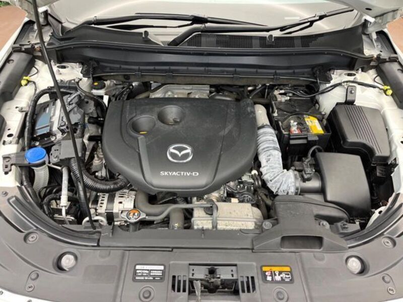 CX-8