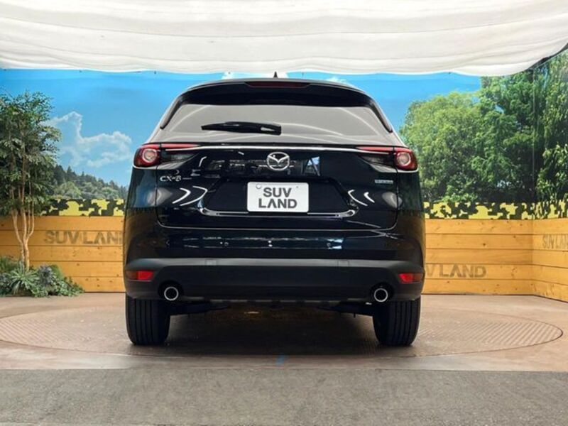 CX-8
