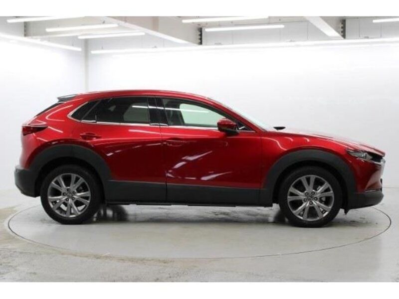 CX-30