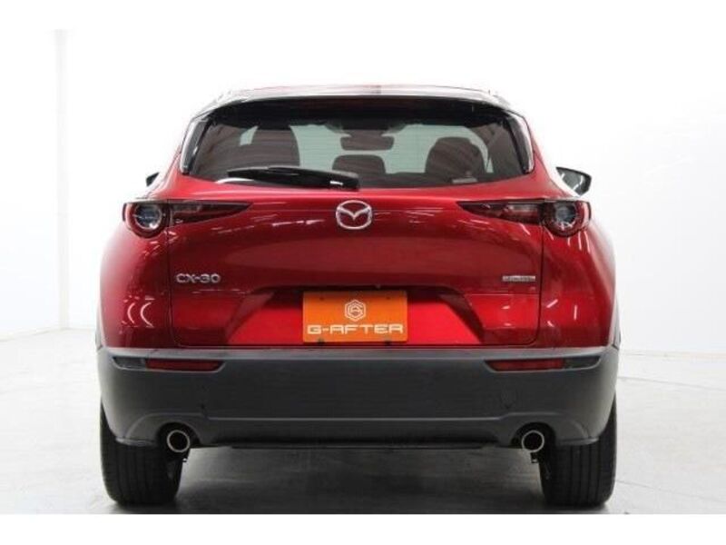 CX-30