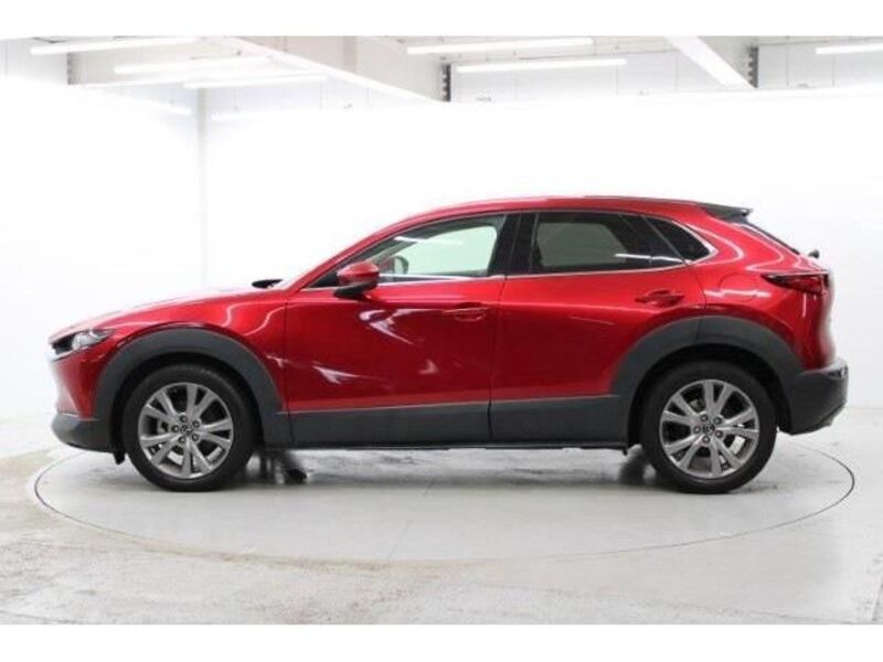 CX-30