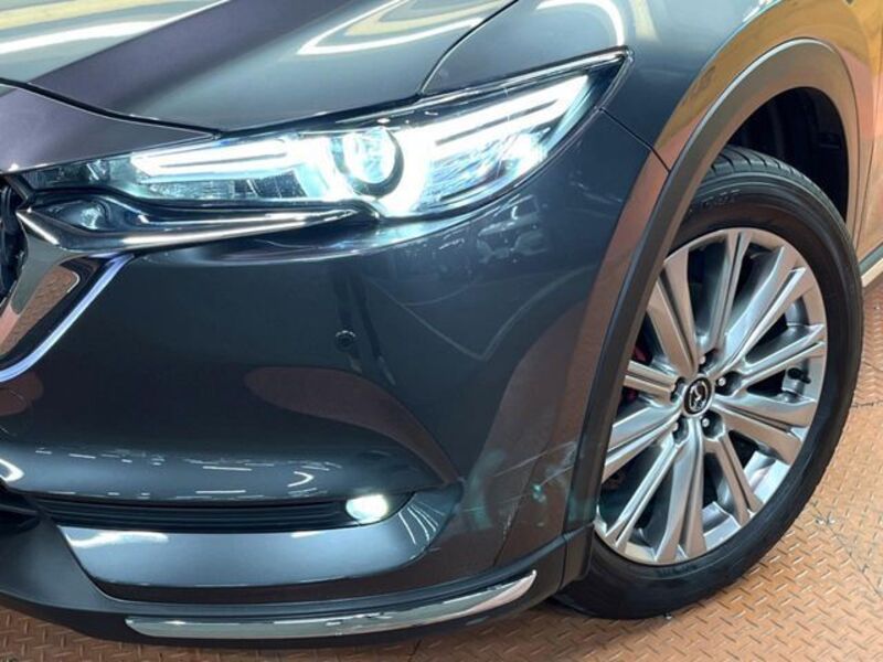 CX-8