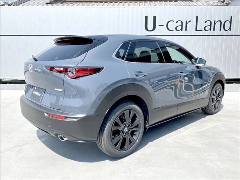 CX-30