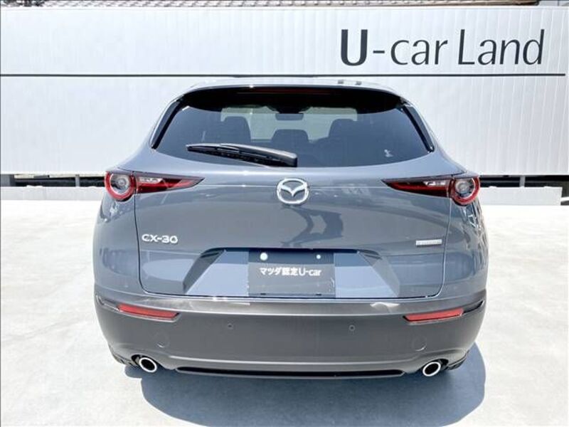 CX-30