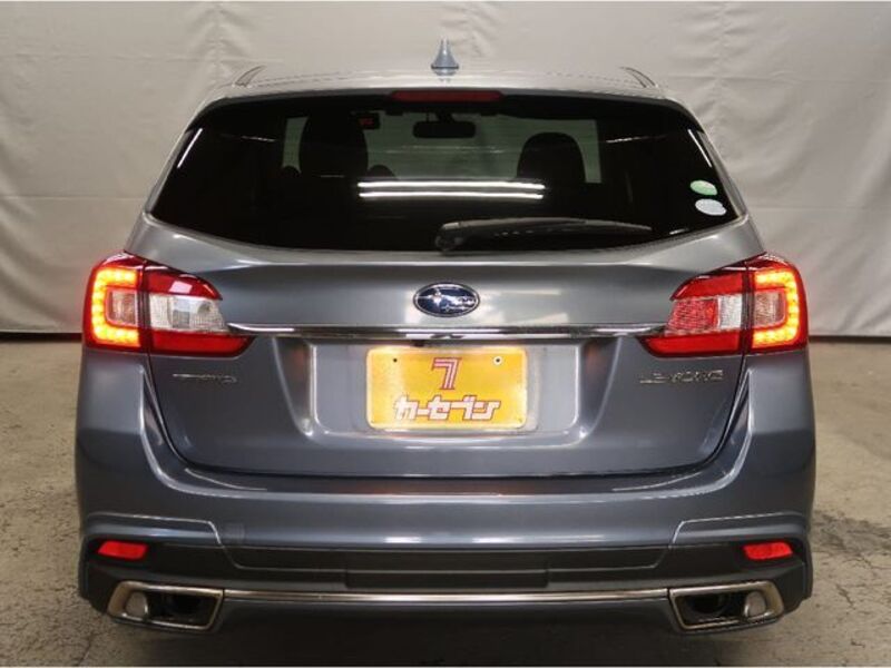 LEVORG