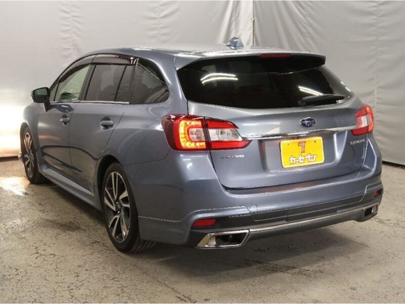 LEVORG