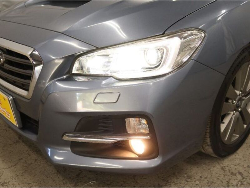 LEVORG