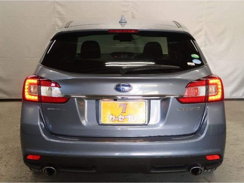 LEVORG