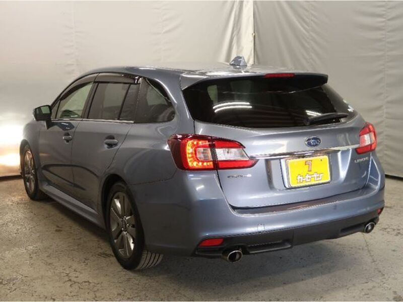 LEVORG