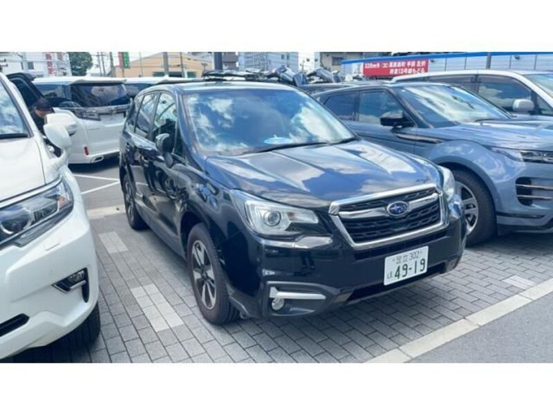 FORESTER-0