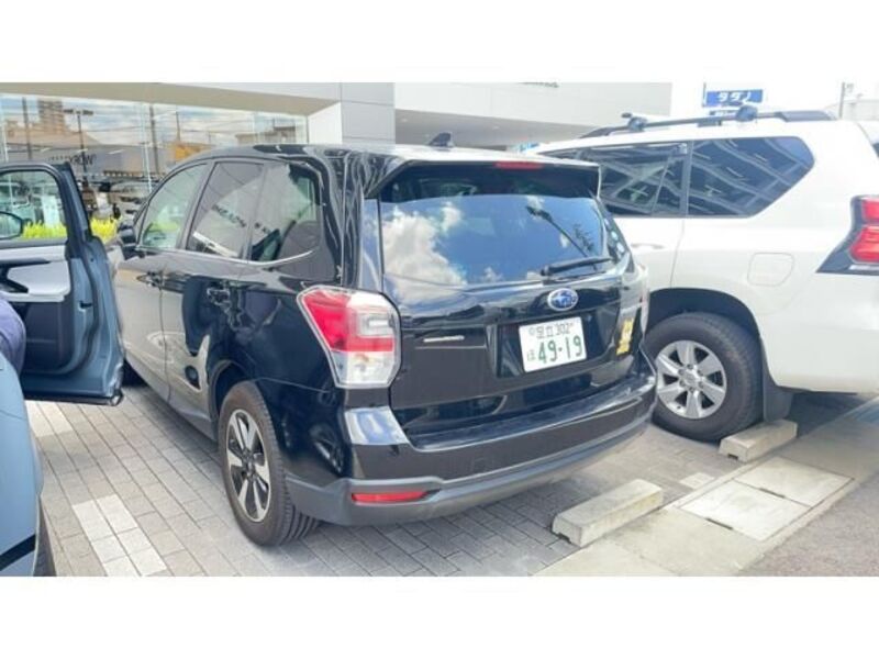 FORESTER