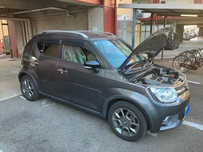 IGNIS-0