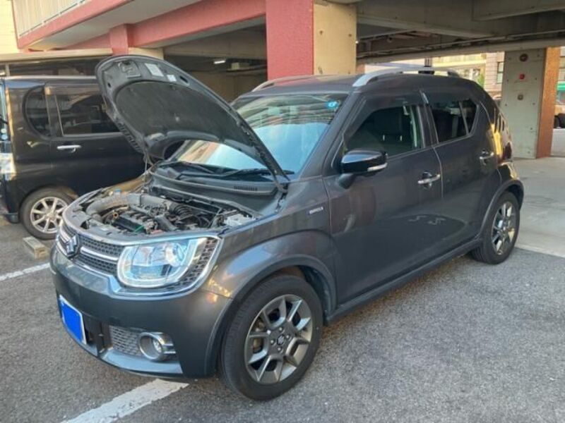 IGNIS