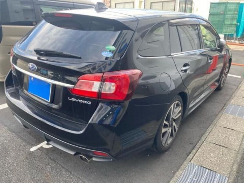 LEVORG