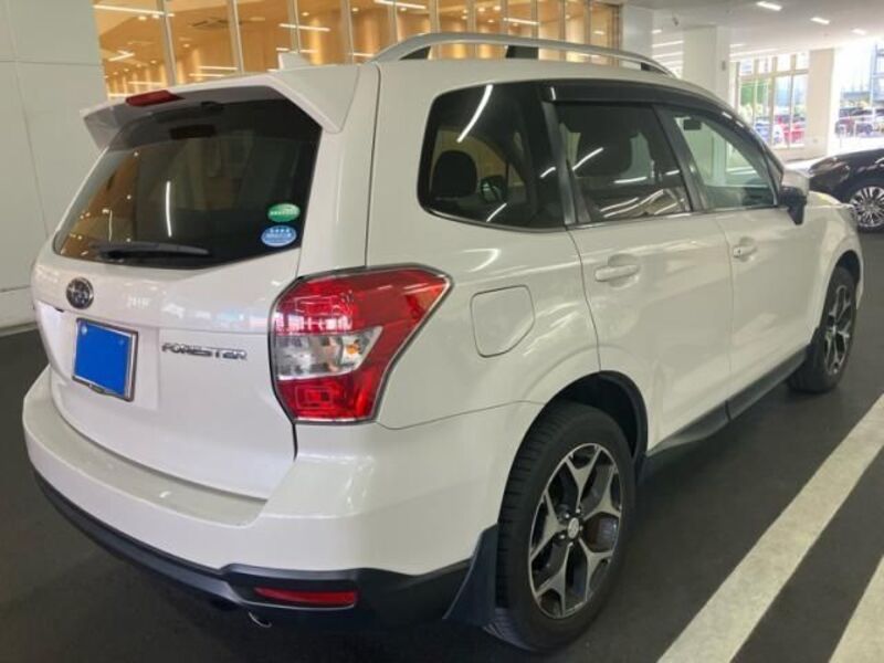 FORESTER